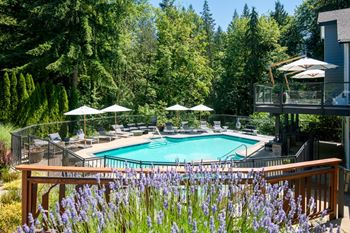 A pool surrounded by trees and purple flowers.